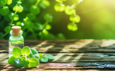 Spotlight on Safety: Understanding the Green Ingredients in Our Treatments