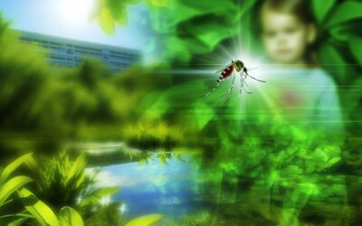 Why Mosquito Control MattersNot Just the Bites, But Health Risks Too