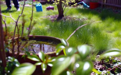 Signs Your Yard Needs a Mosquito TreatmentAnd When to Call for Help